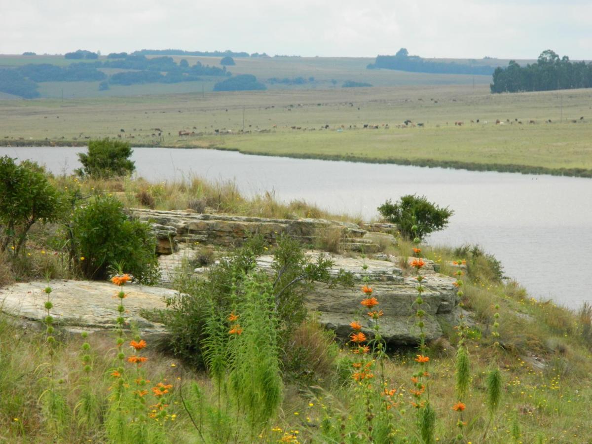 La Vista Farm Stay Ermelo Exteriér fotografie