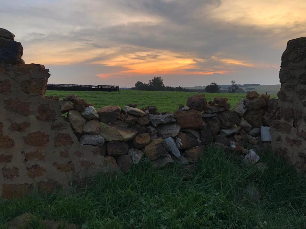 La Vista Farm Stay Ermelo Exteriér fotografie