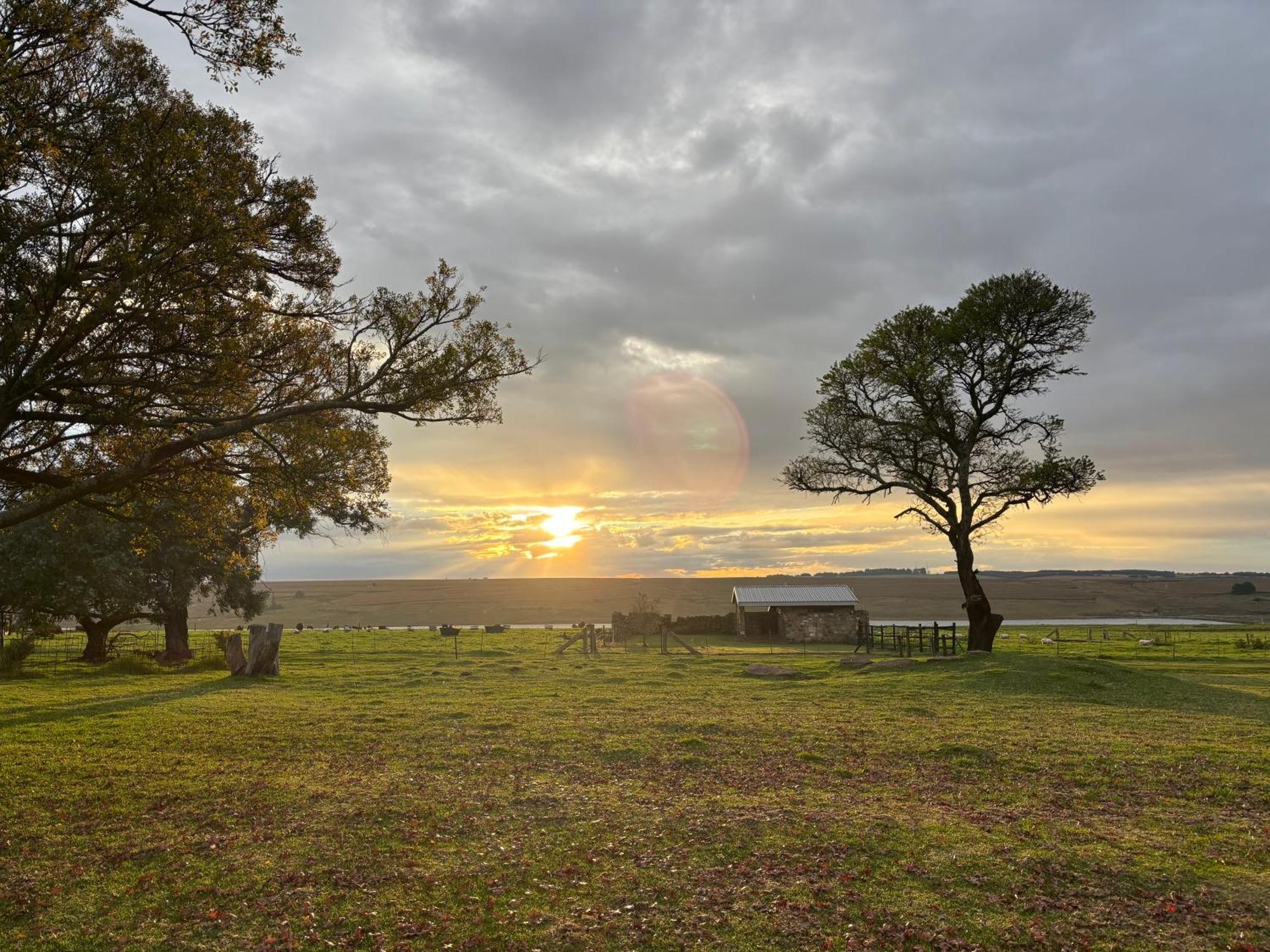 La Vista Farm Stay Ermelo Exteriér fotografie
